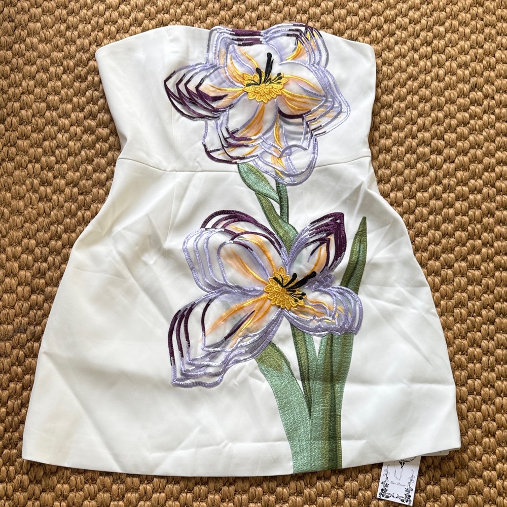 Miss Rosier Floral Embroidered Strapless Dress